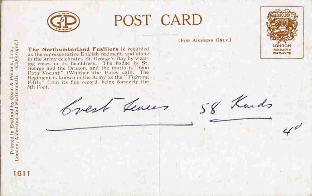 Military Back 049 Military Back 049